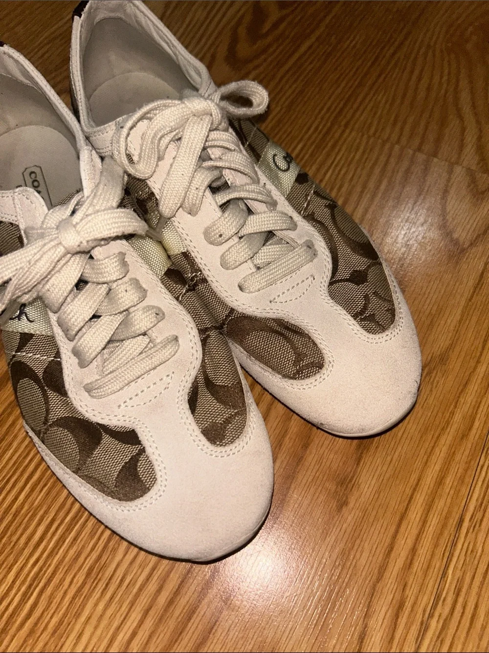 Coach low top